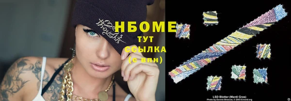 прущие грибы Пролетарск