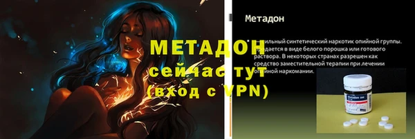 прущие грибы Пролетарск