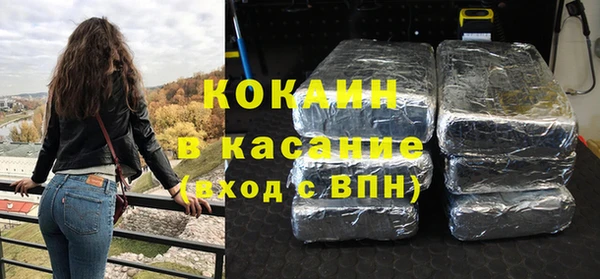 прущие грибы Пролетарск