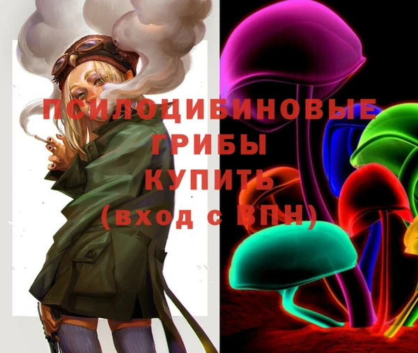 дмт Россошь