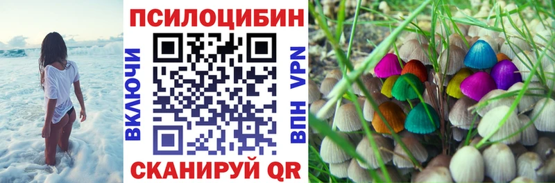МЕГА ссылки  закладки  Советский  Псилоцибиновые грибы мицелий 