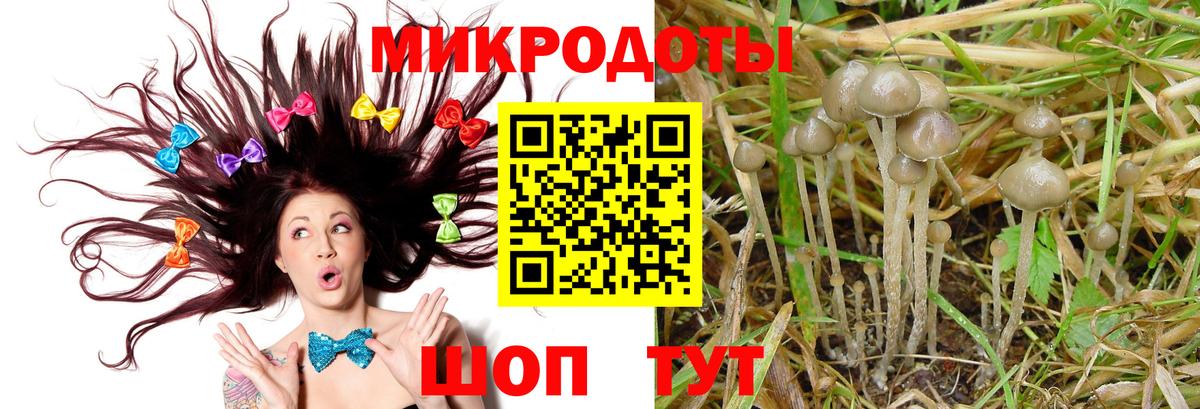 Галлюциногенные грибы прущие грибы  Вход с VPN  Советский  Галлюциногенные грибы Psilocybine cubensis 